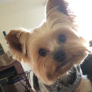 Meet your Posher, Ashashley